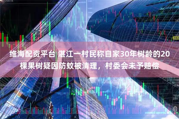 维海配资平台 湛江一村民称自家30年树龄的20棵果树疑因防蚊被清理，村委会未予赔偿