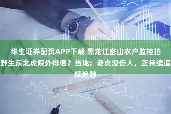 华生证券配资APP下载 黑龙江密山农户监控拍到野生东北虎院外徘徊？当地：老虎没伤人，正持续追踪