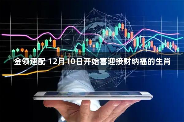 金领速配 12月10日开始喜迎接财纳福的生肖