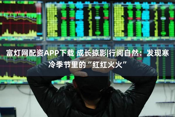 富灯网配资APP下载 成长掠影|行阅自然：发现寒冷季节里的“红红火火”