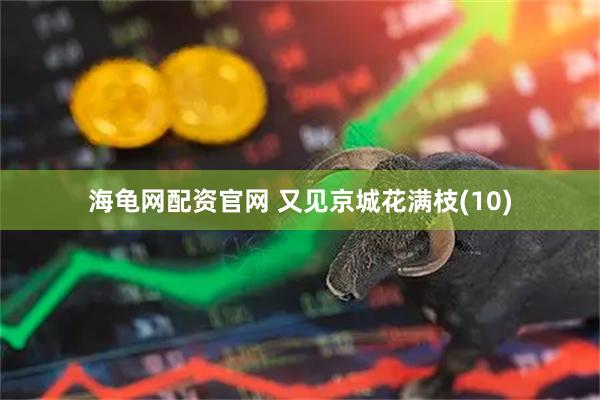 海龟网配资官网 又见京城花满枝(10)
